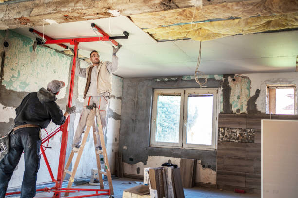 Best Types of Insulation in Wixom, MI