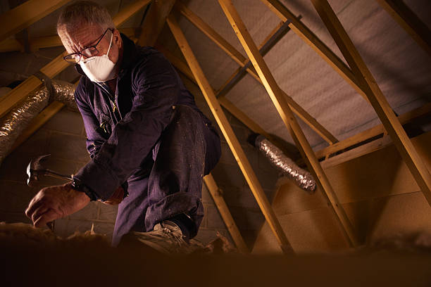 Best Insulation Installation Services in Wixom, MI